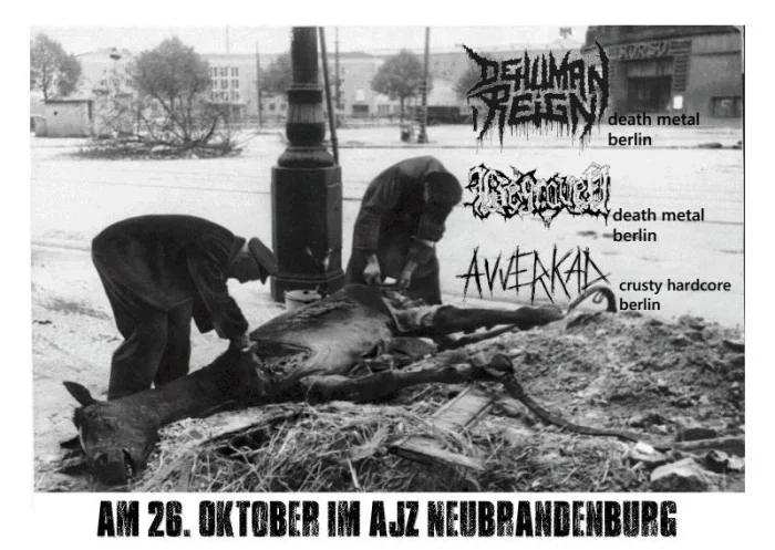 Flyer: DEHUMAN REIGN + BEGRAVEN + AVVERKAD