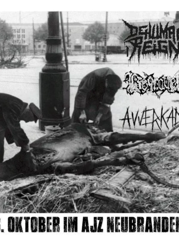 Flyer: DEHUMAN REIGN + BEGRAVEN + AVVERKAD