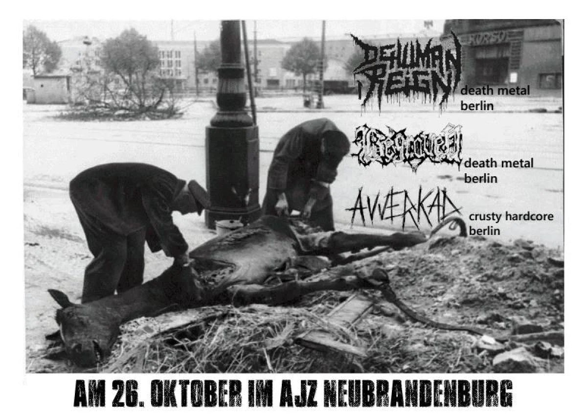 Flyer: DEHUMAN REIGN + BEGRAVEN + AVVERKAD