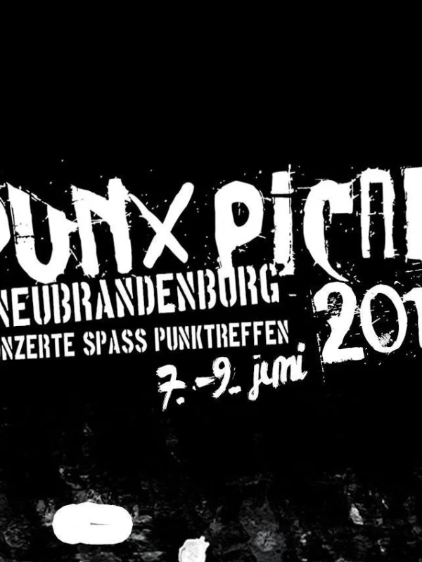 Flyer: Punx PicNic 2013