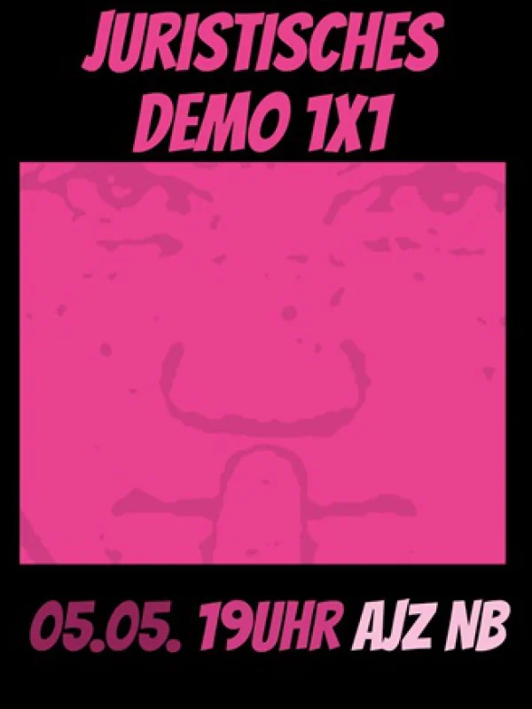 Flyer: JURISTISCHES DEMO 1x1